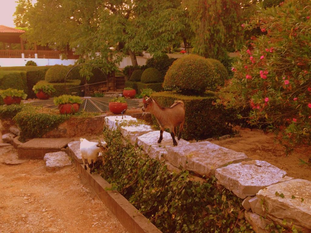 Otium Country House Alvorge Exterior foto